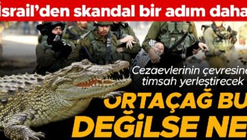 Filistinli mahkumlara akılalmaz ceza: İsrail’de yeni gardiyan ‘timsahlar’