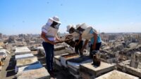 Gazze’de bir meslek yok oluyor. 30 bin tane vardı, geriye 700’ü kaldı