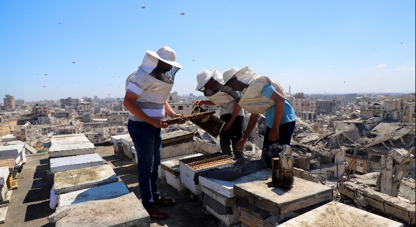 Gazze’de bir meslek yok oluyor. 30 bin tane vardı, geriye 700’ü kaldı