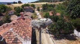 Her yıl tıpkı köye dönüyorlar. Pencerelere kadar geliyorlar