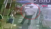 İş yerinin önündeki papağanı kafesinden çaldılar