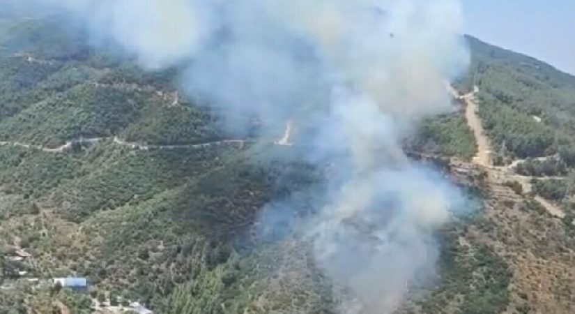 İzmir’de orman yangını. Takımlar havadan karadan müdahale ediyor