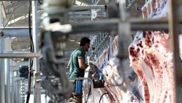 Kesimhanelere kamera ve elektronik takip kaidesi 2027’de yürürlüğe giriyor