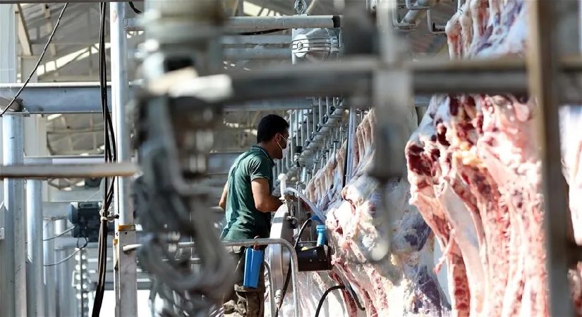 Kesimhanelere kamera ve elektronik takip kaidesi 2027’de yürürlüğe giriyor