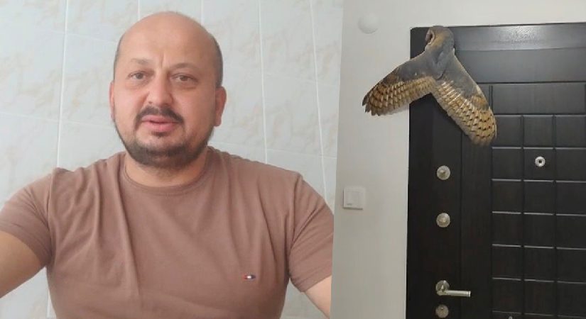 Meskenine hırsız girdi sandı, ışığı açınca şaştı kaldı