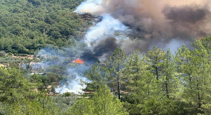 Muğla ve Antalya’da orman yangını. Takımlar sevk edildi