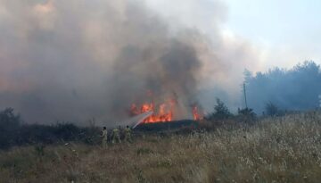 Muğla’da orman yangını. 5 hektar ziraat ve orman alanı ziyan gördü, 1 kişi gözaltında