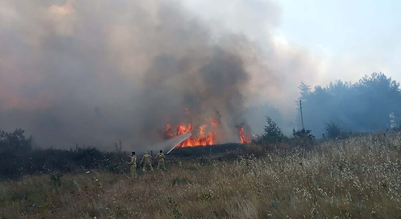Muğla’da orman yangını. 5 hektar ziraat ve orman alanı ziyan gördü, 1 kişi gözaltında
