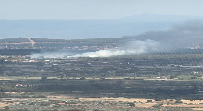 Muğla’da orman yangını. Havadan ve karadan müdahale ediliyor