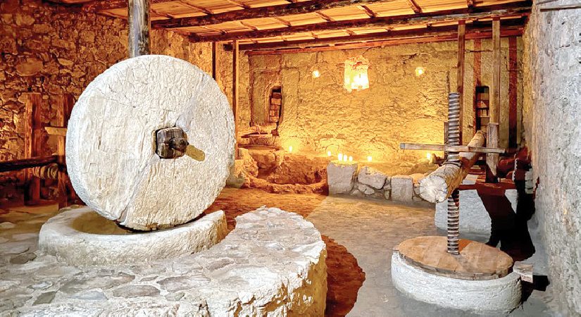 Syedra’nın zeytinyağı