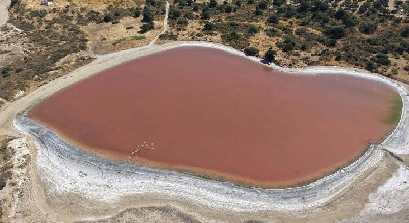 Tabiatın gizemi: Kalpli göl tekrar pembeye büründü