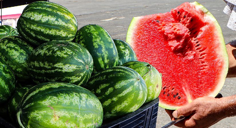 Tarlada 27 TL’den 5 TL’ye düştü, markette 17 TL. Yüzleri güldürmedi, hasadın bitmesine 15 gün var