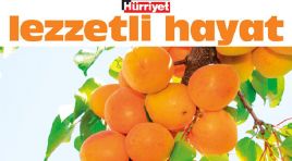 Tavuğa da kebaba da yakışır