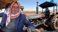Toprağı kara saban ve atla sürdü, traktörü ekmek kapısı oldu. Artık kiracısı olduğu tarlanın sahibi