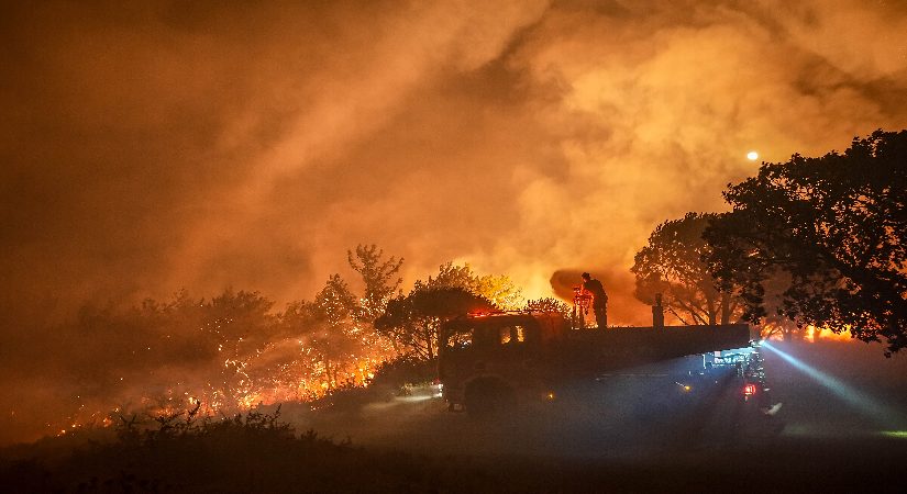 Türkiye’nin dört bir yanında yangın. Rüzgar çabayı zorlaştırıyor