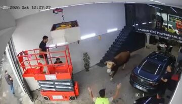 Ümraniye’de kaçan boğa dükkana girdi. Kısa periyodik panik kamerada
