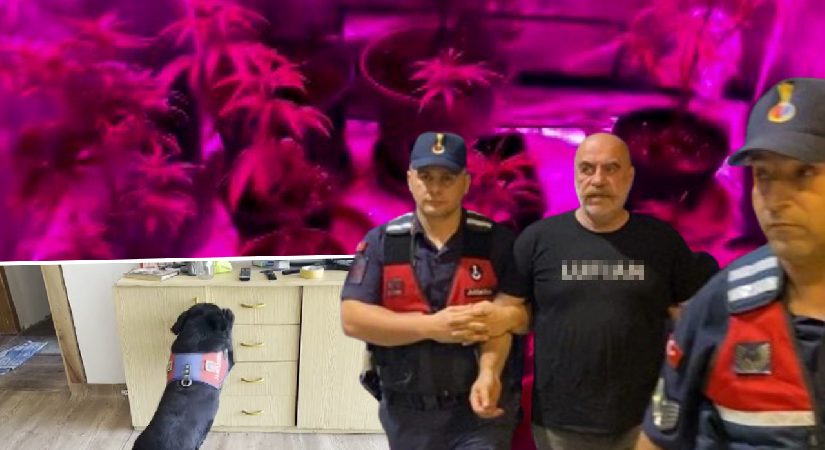 Uyuşturucudan gözaltına alınan Ezel Akay’ın konutundan imgeler ortaya çıktı: Sistem bile kurmuş