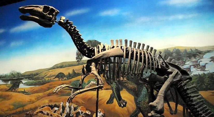 Uzunluğu 20 metreye kadar çıkabiliyor… Tayland’da yeni dinozor tipi keşfedildi