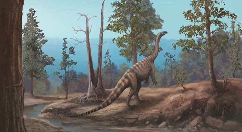 Uzunluğu 4 buçuk metreden uzun. 210 milyon yıllık yeni bir dinozor tipi keşfedildi