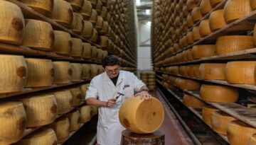 Yılda yaklaşık 4,5 milyar euro kazandırıyor. Kavurucu sıcaklar meşhur peyniri de vurdu