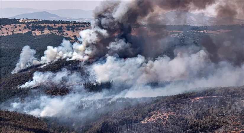 10 orman yangınına soruşturma. 2 kuşkulu tutuklandı, 3 kuşkulu gözaltında
