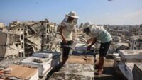 35 kovanıyla yıkıntıların arasında hayata tutunuyor