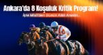Ankara’da 8 koşuluk kritik program! İşte Misli’den günün altılı analizi…