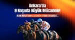 Ankara’da 9 koşuda büyük mücadele! İşte Misli’den günün altılı tahlili