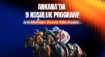Ankara’da 9 koşuluk program! İşte Misli’den günün altılı tahlili