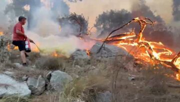 Antalya’da orman yangını. Yangın tüplerini eşekle taşıdılar
