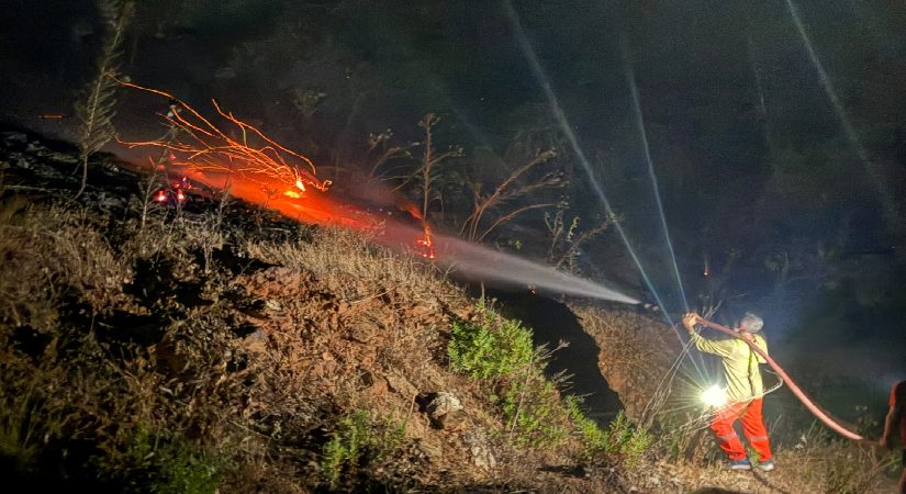 Antalya’daki orman yangını denetim altına alındı