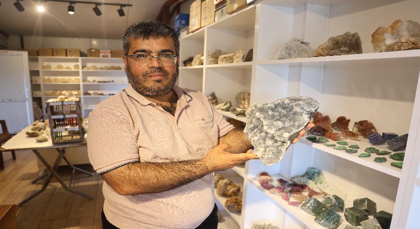 Ayağına taş takıldı, hayatı değişti. Tabiattan topladı, 10 yılda sayısı 15 bin oldu