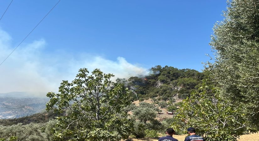 Aydın’da orman yangını. Gruplar müdahale ediyor