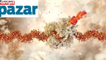 Bağışıklık sistemine kanser hücresini ifşa eden aşı