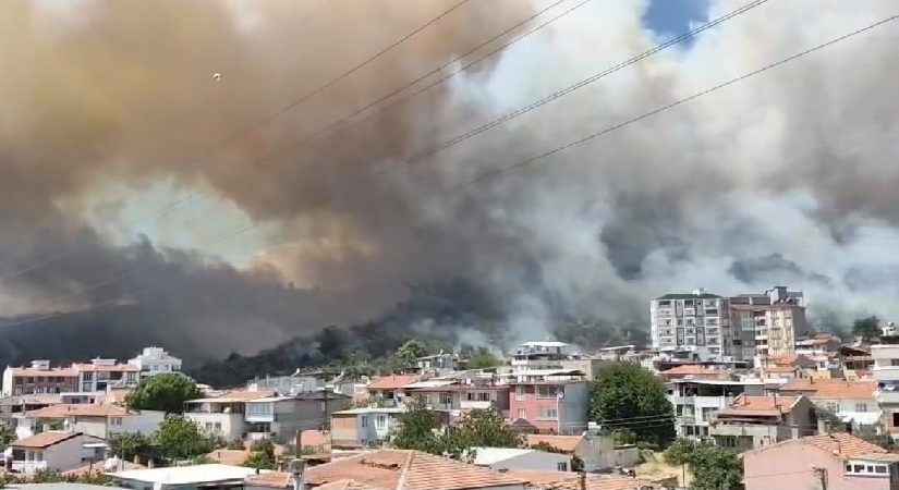 Balıkesir’deki yangınlar denetim altında. Alevler yerleşim yerlerine ziyan verdi