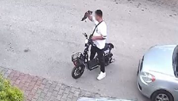 Bolu’da vahşet: Yavru kediyi evvel öptü, sonra boğdu