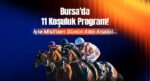 Bursa’da 11 koşuluk program! İşte Misli’den günün altılı tahlili…