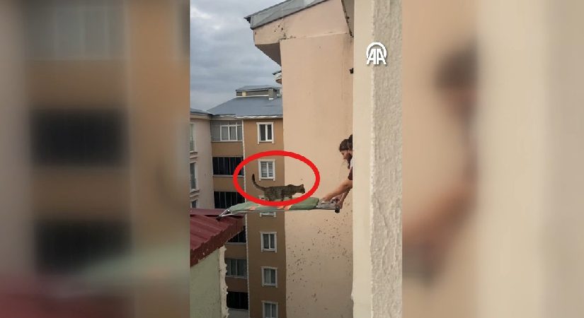 Çatıda mahsur kalan kediyi ütü masasıyla kurtardılar