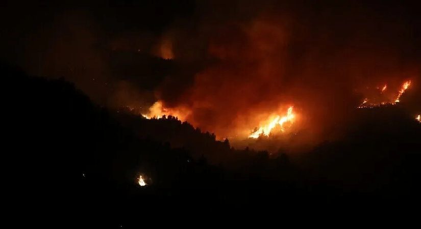 Cezayir’de çıkan orman yangınlarında 12 kişi hayatını kaybetti