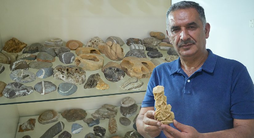 Çobanlık yaparken başladı. 40 yıl boyunca dağ tepe demeden topladı