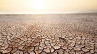 El Nino 50 milyon insanı aç bırakacak