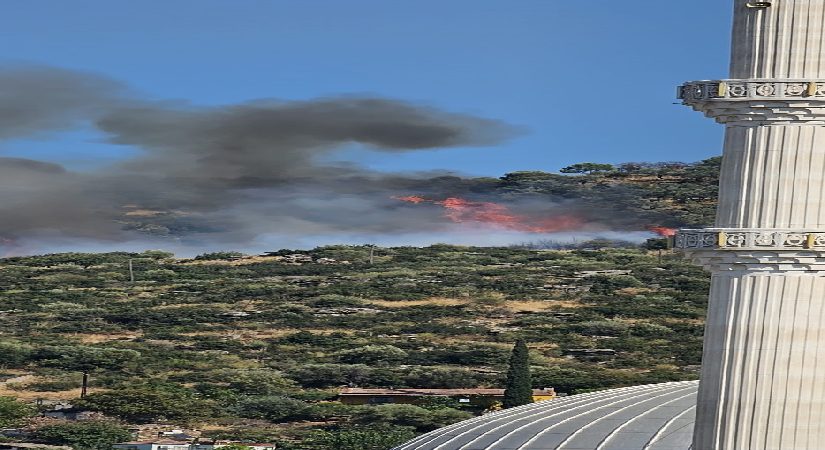 Gebze’de orman yangını. Takımlar sevk edildi