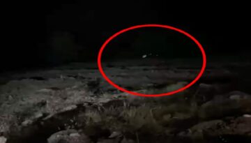 Hafif ticari araç uçuruma yuvarlandı. 4 kişi öldü, 5 yaralı var