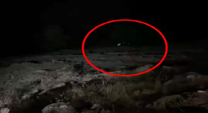 Hafif ticari araç uçuruma yuvarlandı. 4 kişi öldü, 5 yaralı var