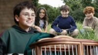 Harry Potter dizisinin ikinci dönemi şekilleniyor. Gilderoy Lockhart için ünlü isimle anlaşıldı