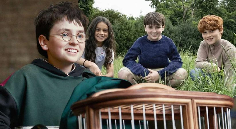 Harry Potter dizisinin ikinci dönemi şekilleniyor. Gilderoy Lockhart için ünlü isimle anlaşıldı