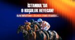 İstanbul’da 8 koşuluk heyecan! İşte Misli’den günün altılı tahlili