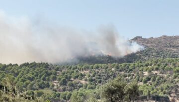 İzmir’de orman yangını: Gruplar müdahale ediyor