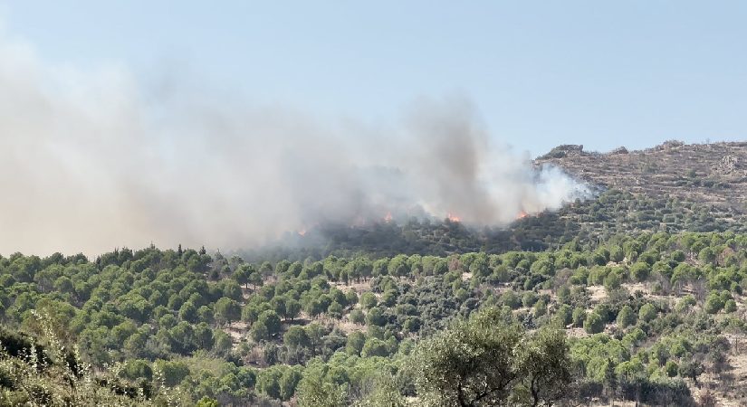 İzmir’de orman yangını: Gruplar müdahale ediyor
