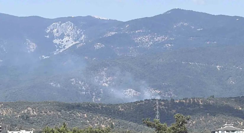 Kazdağı Ulusal Parkı’nda orman yangını
